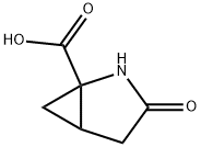 2,3-methanopyroglutamic acid Structure