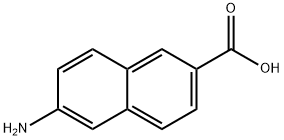 6-AMINO-2-NAPHTHOIC ACID|6-氨基-2-萘酸
