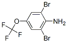 3,5-Dibromo-4-aminotrifluoromethoxybenzene Struktur