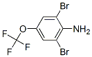 3,5-Dibromo-4-aminotrifluoromethoxybenzene Structure