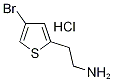 2-(4-溴-2-噻吩)-乙胺盐酸盐, 1172469-40-7, 结构式