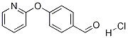 1172759-99-7 4-(吡啶-2-基氧基)苯甲醛盐酸盐
