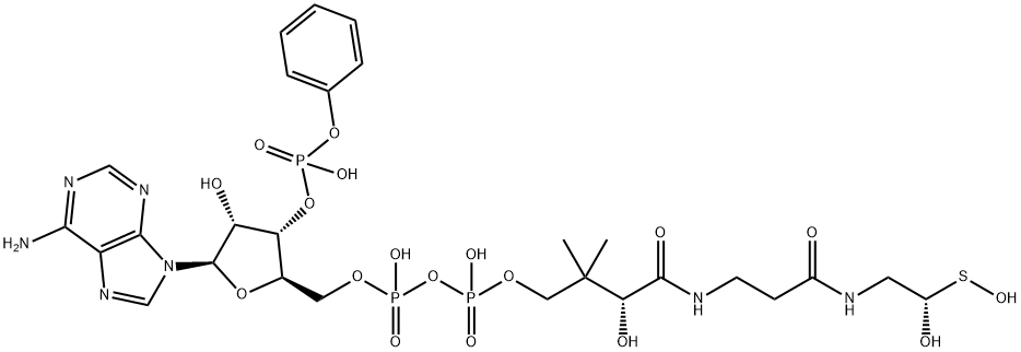 4-ヒドロキシフェニルアセチル-CoA 化学構造式