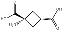 1-AMINOCYCLOBUTANE-CIS-1,3-DICARBOXYLIC ACID,117488-23-0,结构式