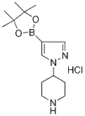 4-[4-(4,4,5,5-Tetramethyl-1,3,2-dioxaborolan-2-yl)-1H-pyrazol-1-yl]piperidine hydrochloride, 1-(Piperidin-4-yl)-4-[4-(4,4,5,5-Tetramethyl-1,3,2-dioxaborolan-2-yl)-1H-pyrazole hydrochloride Struktur