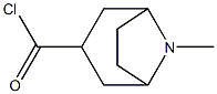 8-Azabicyclo[3.2.1]octane-3-carbonyl chloride, 8-methyl-, exo- (9CI) 结构式