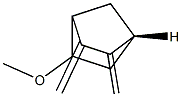 Bicyclo[2.2.1]heptane, 5-methoxy-2,3-bis(methylene)-, (1R-endo)- (9CI) Structure