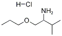 3-METHYL-1-PROPOXY-2-BUTANAMINE HYDROCHLORIDE,1185164-25-3,结构式