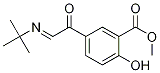Methyl 5-[(tert-Butylimino)acetyl]salicylate 结构式