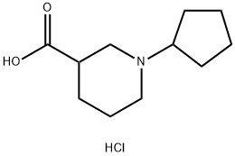 1-环戊基-3-哌啶甲酸盐酸盐 结构式