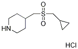 Piperidine, 4-[[(cyclopropylmethyl)sulfonyl]methyl]-, hydrochloride (1:1)|4-{[(环丙基甲基)磺酰基]甲基}哌啶盐酸盐