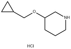 3-(Cyclopropylmethoxy)piperidine hydrochloride 化学構造式