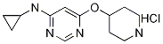 N-cyclopropyl-6-(piperidin-4-yloxy)pyriMidin-4-aMine hydrochloride, 98+% C12H19ClN4O, MW: 270.76 price.