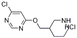 4-Chloro-6-(piperidin-3-ylMethoxy)-pyriMidine hydrochloride, 98+% C10H15Cl2N3O, MW: 264.15 Struktur