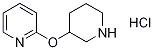 2-(3-哌啶基氧基)吡啶盐酸盐,1185310-55-7,结构式
