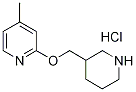 4-甲基-2-(3-哌啶基甲氧基)吡啶盐酸盐,1185310-76-2,结构式