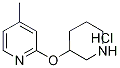 4-Methyl-2-(piperidin-3-yloxy)-pyridine hydrochloride, 98+% C11H17ClN2O, MW: 228.72|4-甲基-2-(3-哌啶基氧基)吡啶盐酸盐