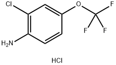 2-Chloro-4-(trifluoromethoxy)aniline, HCl Struktur
