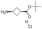 cis-tert-butyl 3-aMinocyclobutanecarboxylate hydrochloride, 1192549-09-9, 结构式
