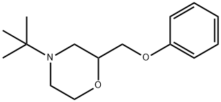  4-tert-ブチル-2-(フェノキシメチル)-モルホリン 化学構造式