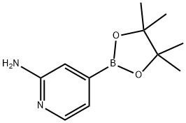 2-AMINOPYRIDINE-4-BORONIC ACID PINACOL ESTER