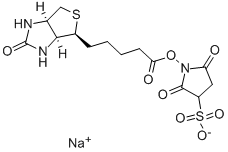イージ-リンクスルホ-NHS-ビオチン 化学構造式