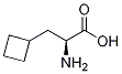 L-3-シクロブトイルアラニン 化学構造式