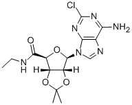 2-CHLORO-2',3'-O-ISOPROPYLIDENEADENOSINE-5'-N-ETHYLCARBOXAMIDE Struktur