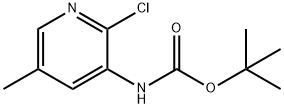 1203498-98-9 2-クロロ-5-メチルピリジン-3-イルカルバミン酸TERT-ブチル