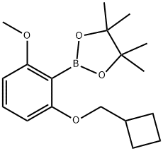 2-CyclobutylMethoxy-6-Methoxyphenylboronic acid pinacol ester Struktur