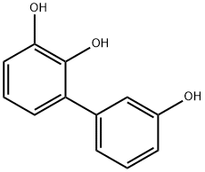 120728-34-9 [1,1-Biphenyl]-2,3,3-triol (9CI)