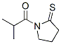 2-Pyrrolidinethione,  1-(2-methyl-1-oxopropyl)-  (9CI) 结构式