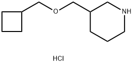 Cyclobutylmethyl 3-piperidinylmethyl etherhydrochloride,1211505-35-9,结构式