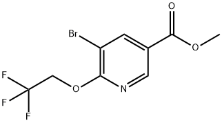 5-broMo-6-(2,2,2-trifluoroethoxy)nicotinic acid Methyl ester|