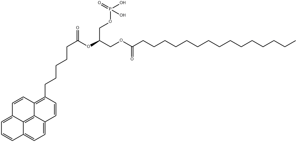 1-palmitoyl-2-(6-(pyren-1-yl)hexanoyl)-sn-glycero-3-phosphatidic acid,121496-64-8,结构式