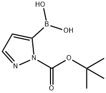 1-(Tert-butoxycarbonyl)-1H-pyrazol-5-ylboronic acid|1 - (叔丁氧羰基)-1H -吡唑- 5-硼酸