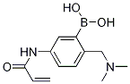 5-ACRYLAMIDO-2-((DIMETHYLAMINO)METHYL)PHENYLBORONIC ACID 结构式