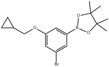 1218789-49-1 3-ブロモ-5-(シクロプロピルメトキシ)フェニルボロン酸ピナコールエステル