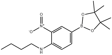 4-N-ブチルアミノ-3-ニトロフェニルボロン酸ピナコールエステル 化学構造式