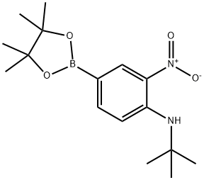 4-(N-T-BUTYLAMINO)-3-NITROPHENYLBORONIC ACID, PINACOL ESTER 结构式
