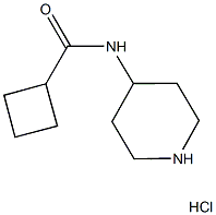 N-(Piperidin-4-yl)cyclobutanecarboxamidehydrochloride Struktur