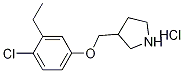 3-[(4-Chloro-3-ethylphenoxy)methyl]pyrrolidinehydrochloride 化学構造式