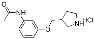 N-[3-(3-Pyrrolidinylmethoxy)phenyl]acetamidehydrochloride 化学構造式