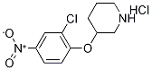 3-(2-Chloro-4-nitrophenoxy)piperidinehydrochloride 化学構造式