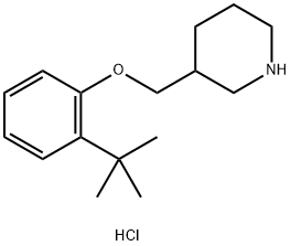 2-(tert-Butyl)phenyl 3-piperidinylmethyl etherhydrochloride 结构式