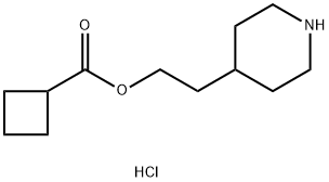2-(4-Piperidinyl)ethyl cyclobutanecarboxylatehydrochloride,1219960-63-0,结构式