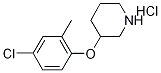 3-(4-Chloro-2-methylphenoxy)piperidinehydrochloride Struktur