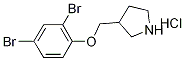 3-[(2,4-Dibromophenoxy)methyl]pyrrolidinehydrochloride Struktur