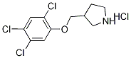 3-[(2,4,5-Trichlorophenoxy)methyl]pyrrolidinehydrochloride 结构式