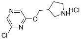 2-Chloro-6-(3-pyrrolidinylmethoxy)pyrazinehydrochloride 化学構造式